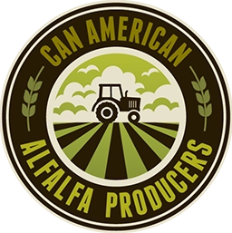 can american ap-Image